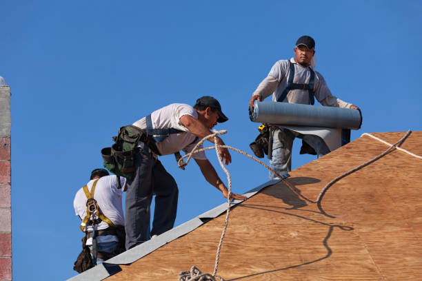 Best New Roof Installation  in Watertown, MN