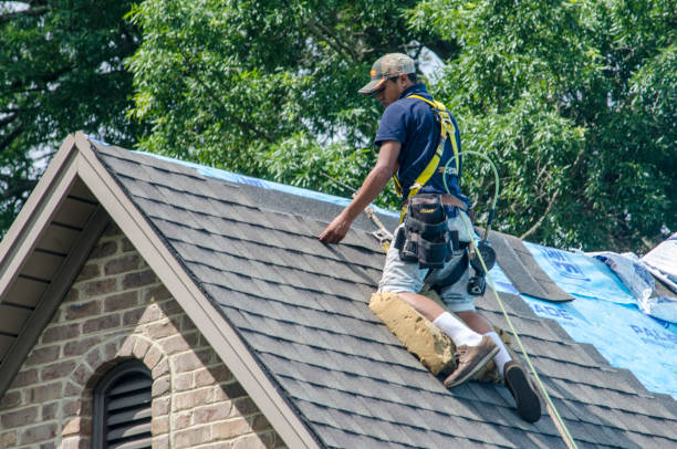Professional Roofing Contractor in Watertown, MN